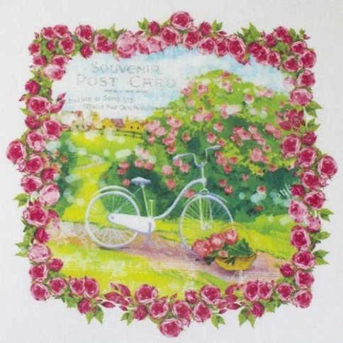 Купон с рисунком "Винтажный велосипед в рамке из роз"