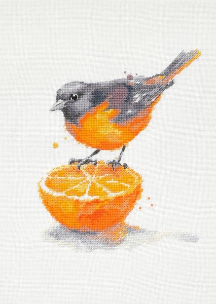 Птица и апельсин, схема для вышивки