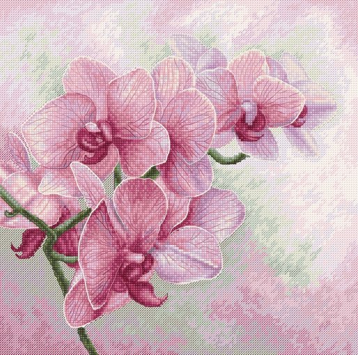 Набор для вышивки Dimensions 07230 Орхидеи Азии